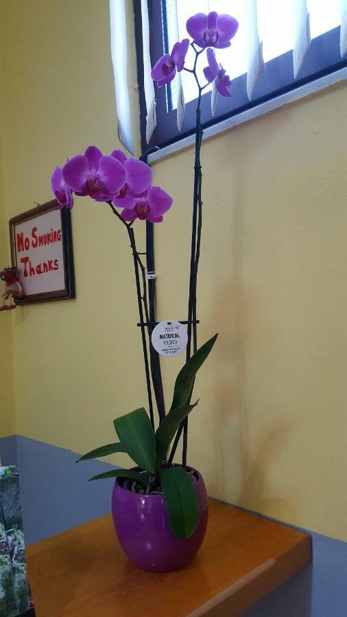 Home Hostel ชโคเดอร์ ภายนอก รูปภาพ